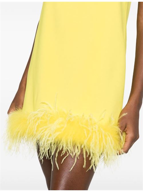 Dress with feather edge Pinko | 102949-A1RJ.H17